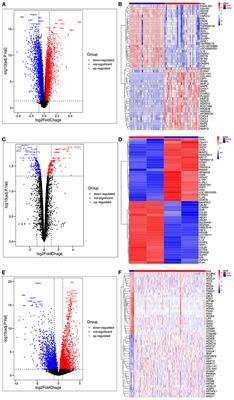 Identification of Key Genes and Pathways Associated With Paclitaxel Resistance in Esophageal Squamous Cell Carcinoma Based on Bioinformatics Analysis